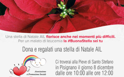 Stelle di Natale Ail 2020