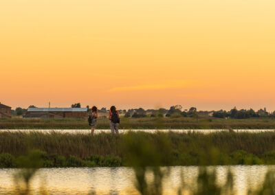 Salina di Cervia